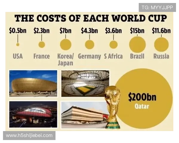 卡塔尔世界杯的花费金额是多少，政府和私人企业的资金投入比例及其经济影响分析