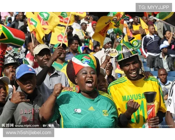 南非世界杯足球赛的文化交流与各国球迷互动活动促进国际友谊与理解