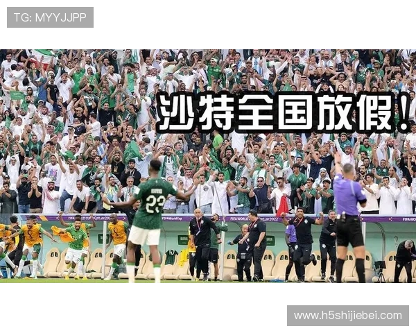 世界杯西班牙沙特比赛门票购买常见问题解答及购票流程指南